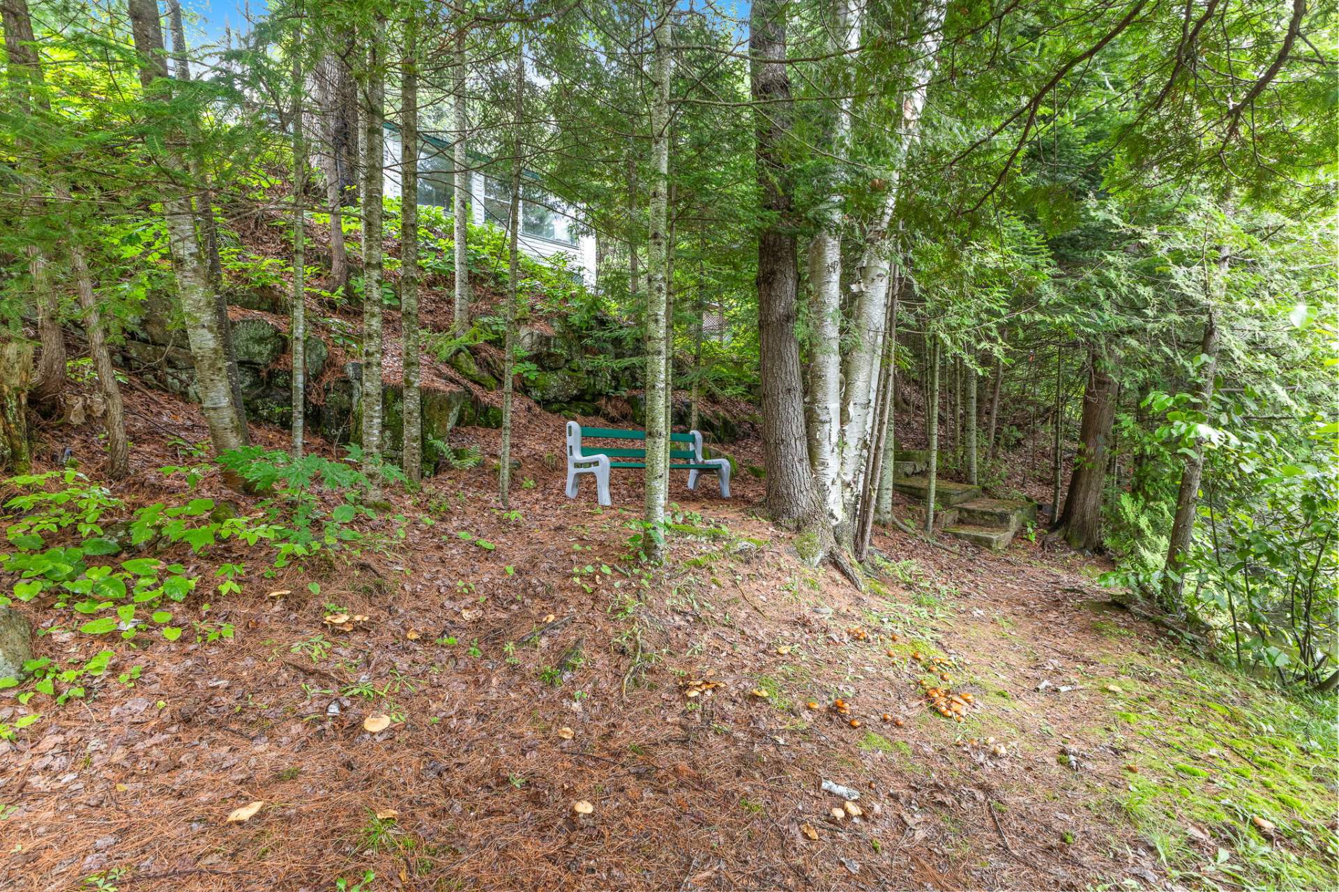 Land/Lot