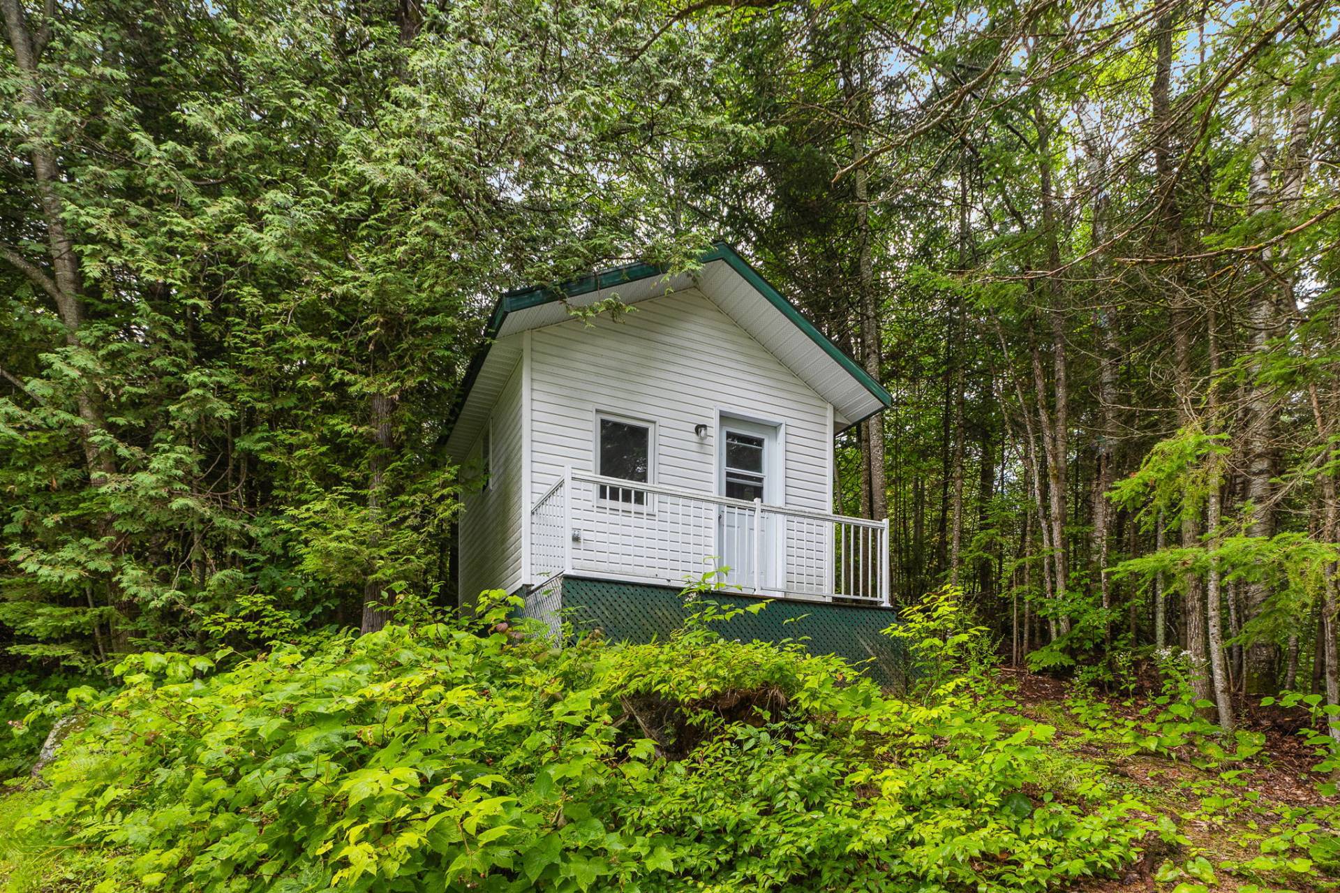Shed