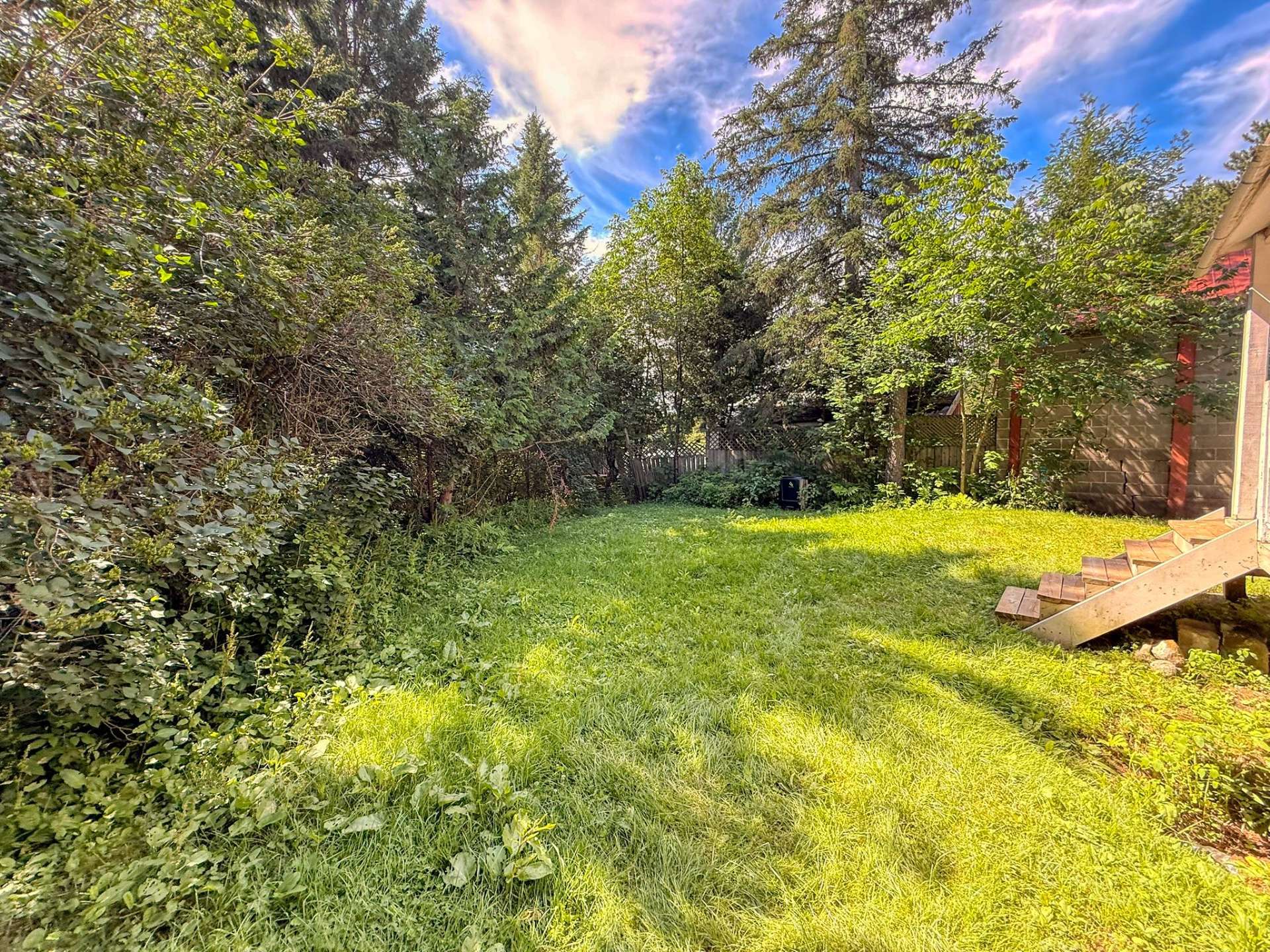 Backyard