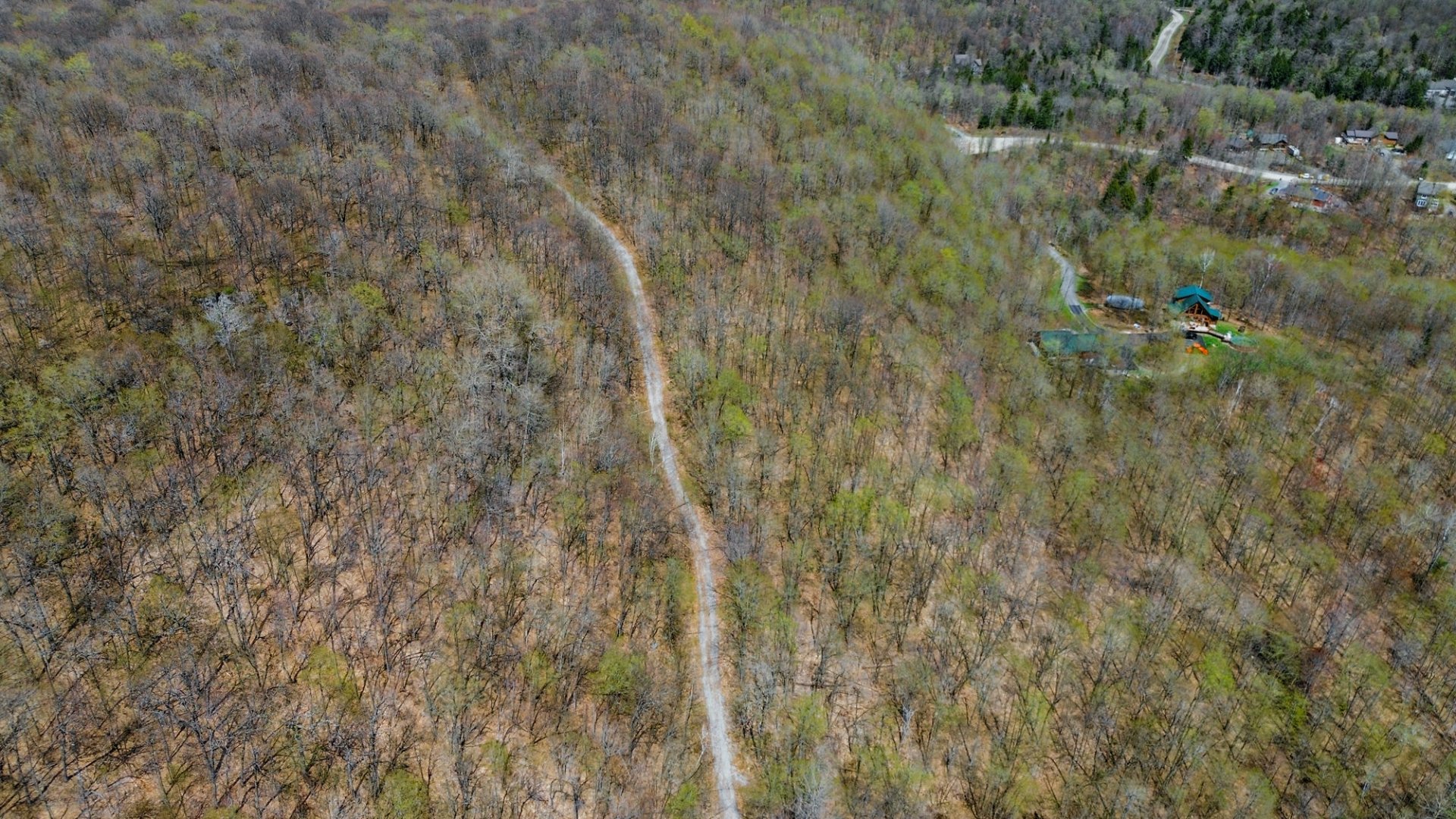 Overall View