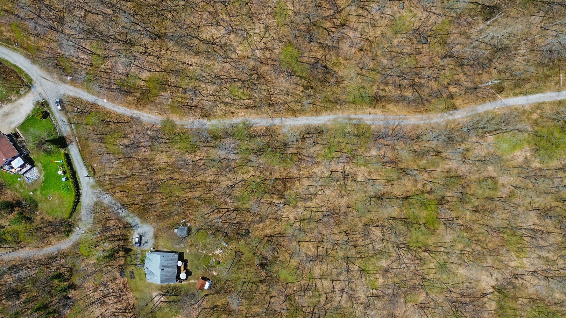Overall View