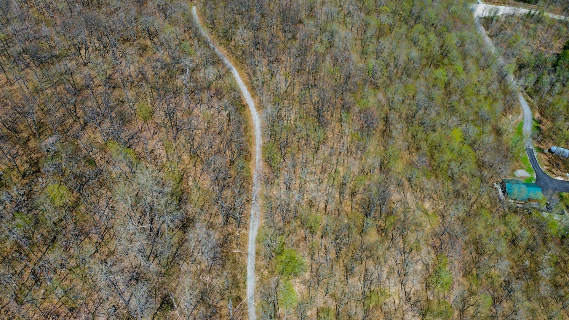 Overall View