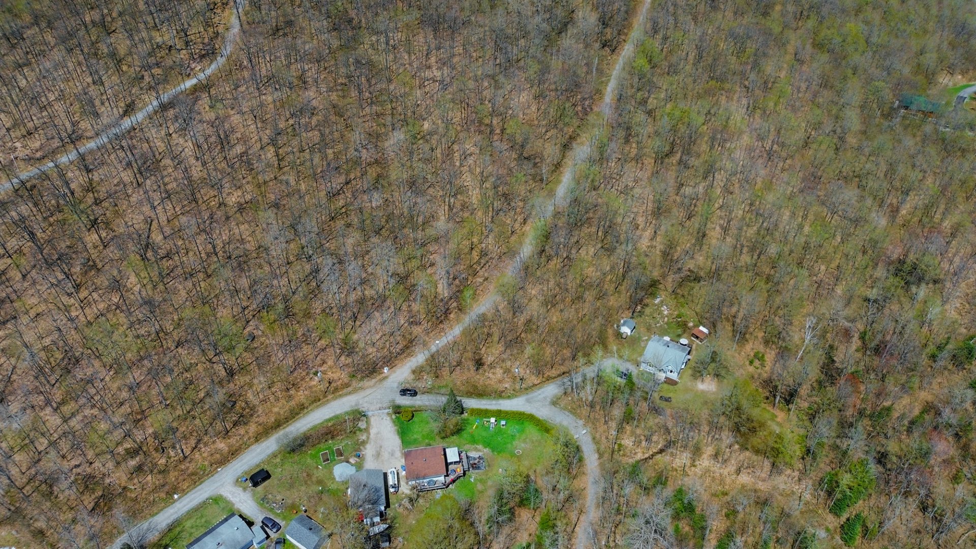 Overall View