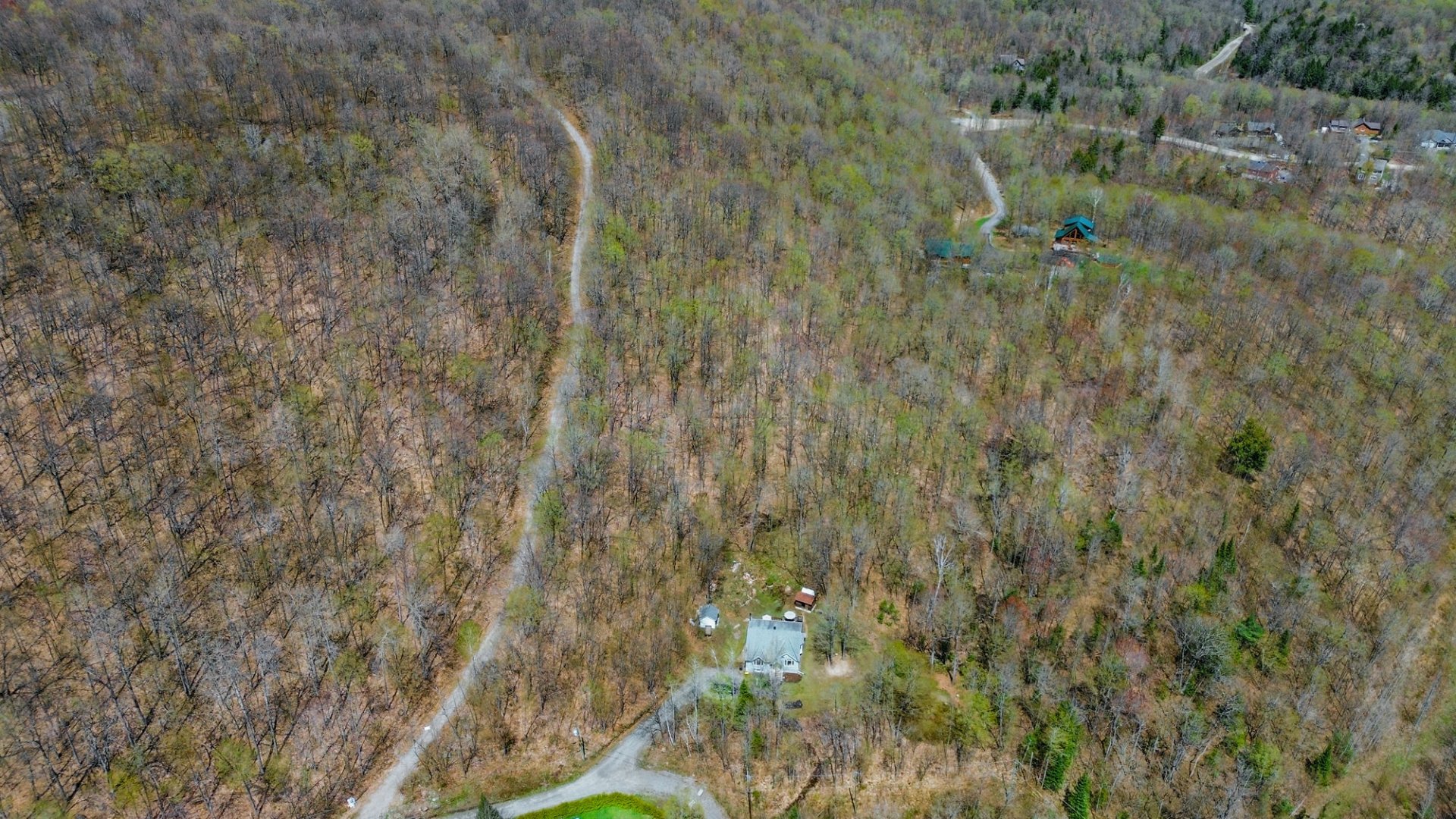 Overall View