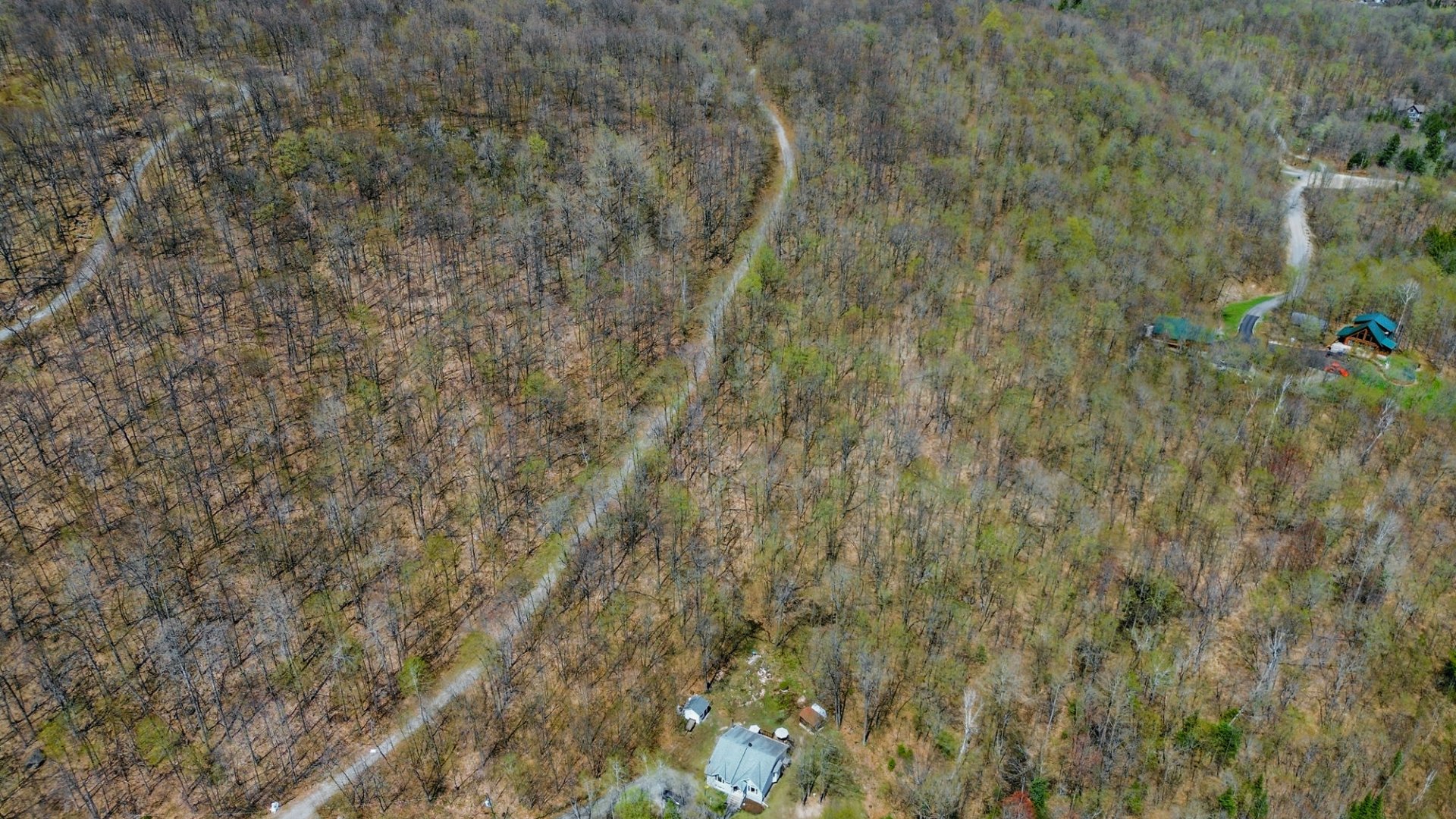 Overall View