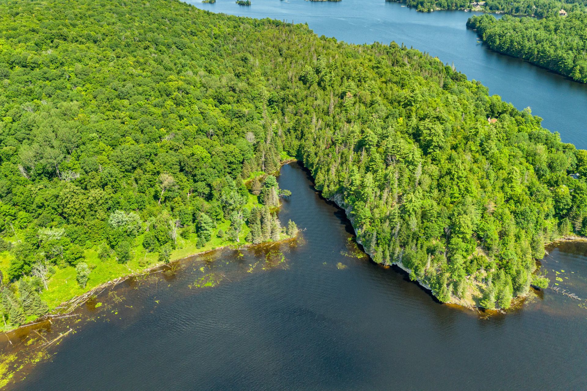Aerial photo