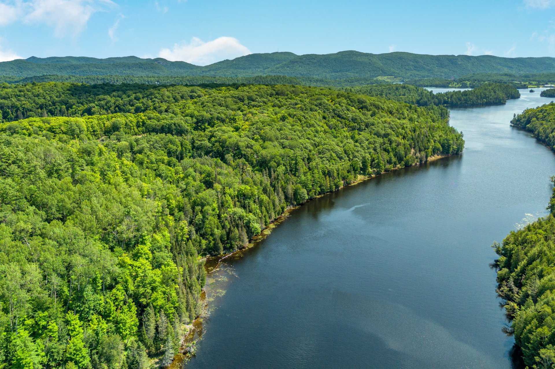Aerial photo