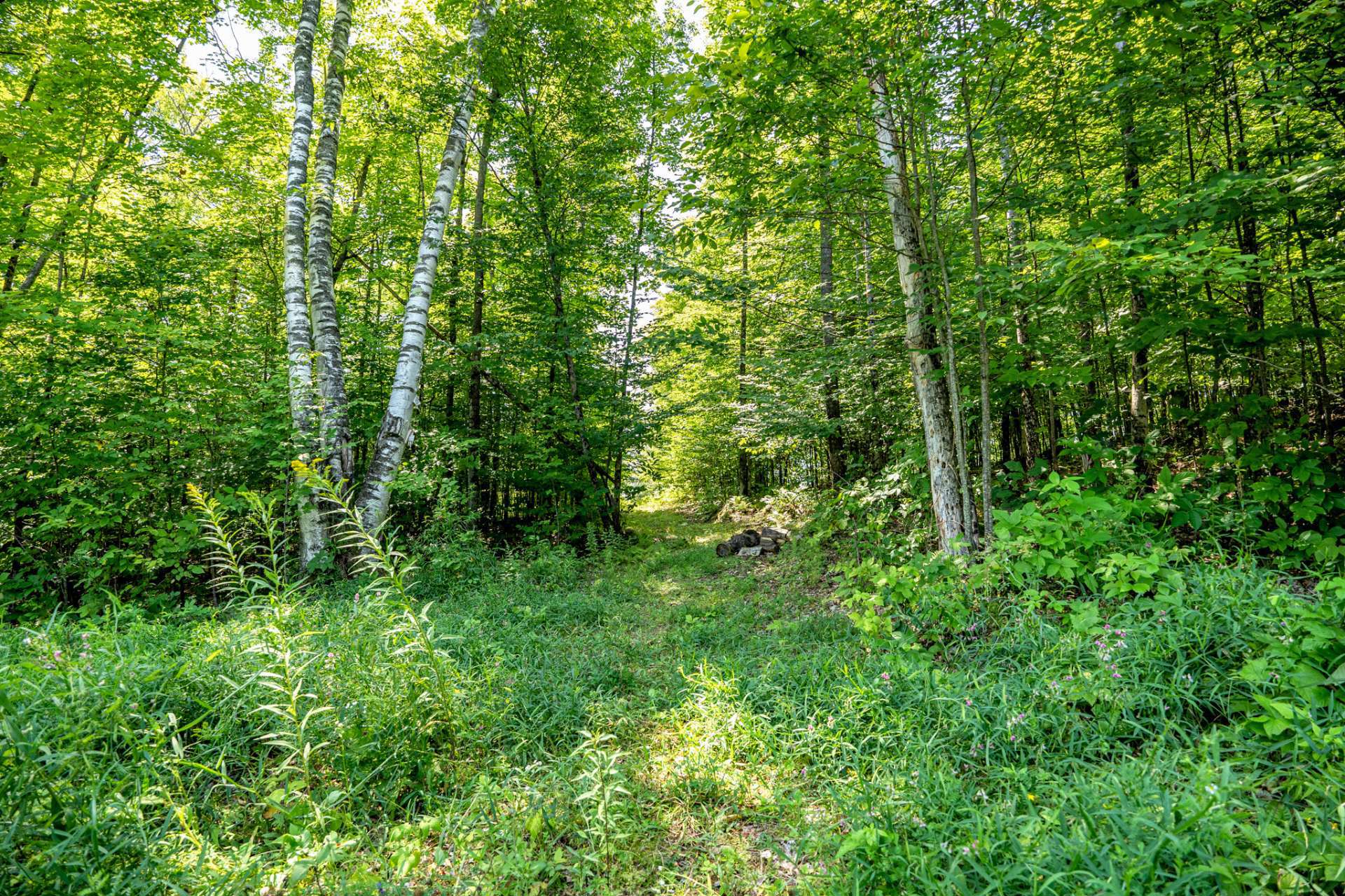 Land/Lot
