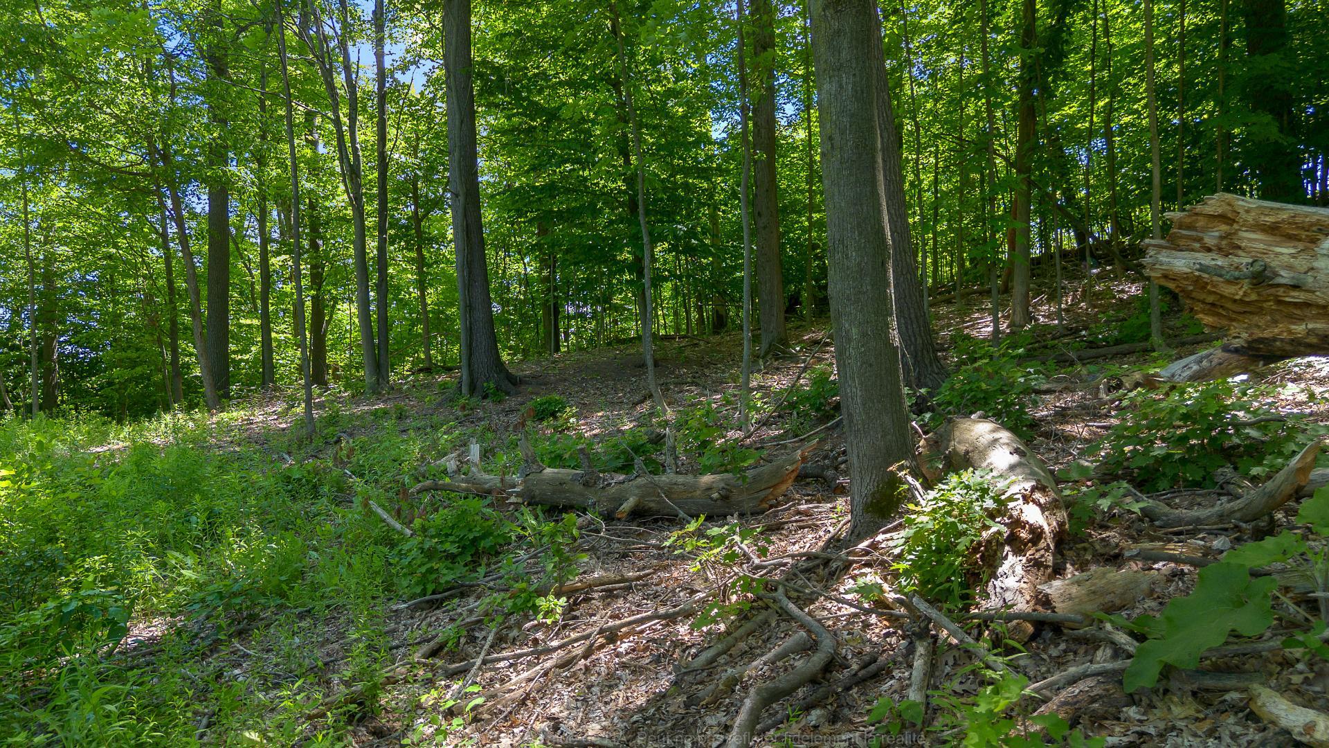 Land/Lot
