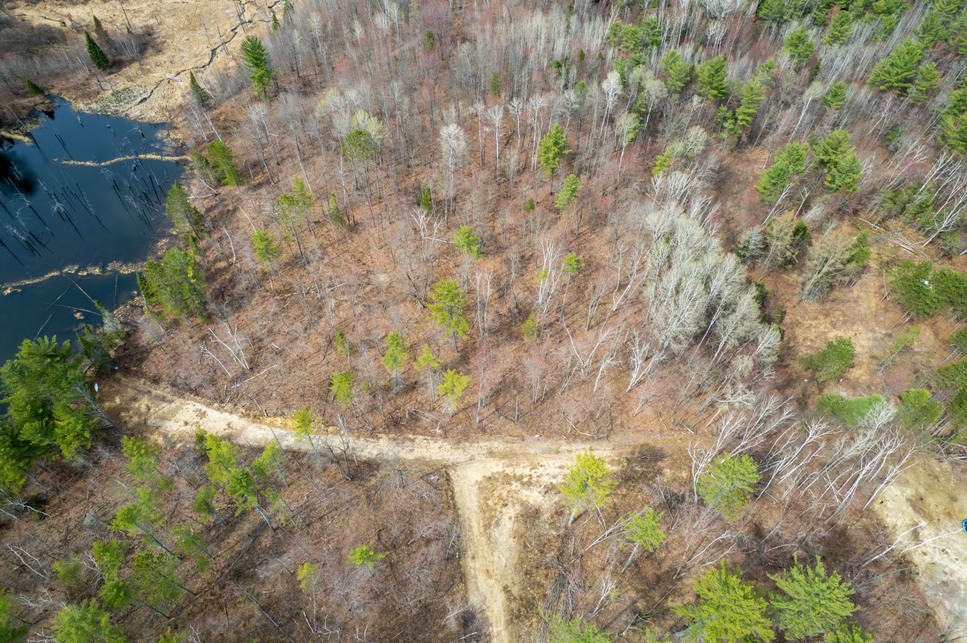 Land/Lot