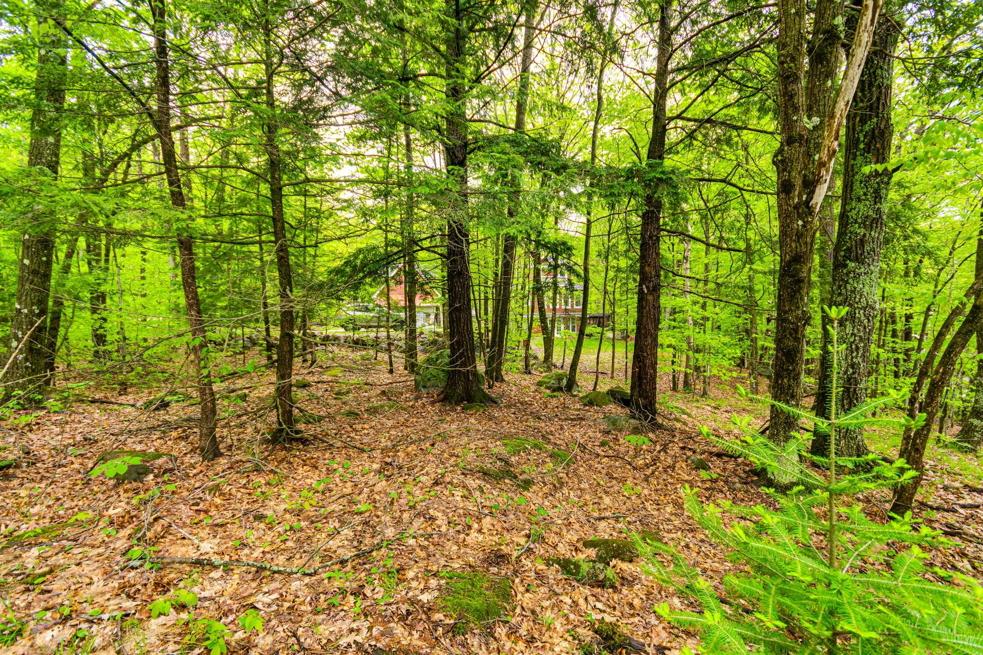 Land/Lot