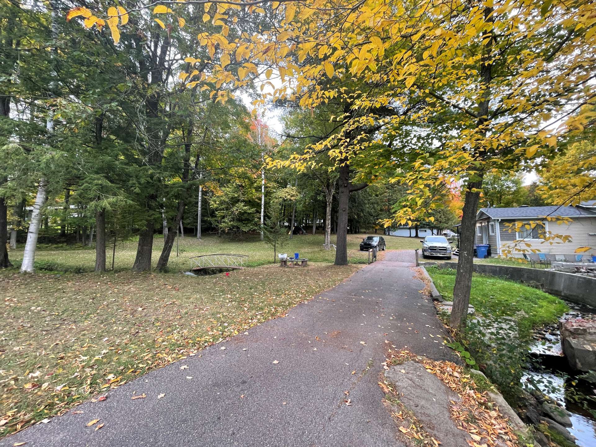Overall view