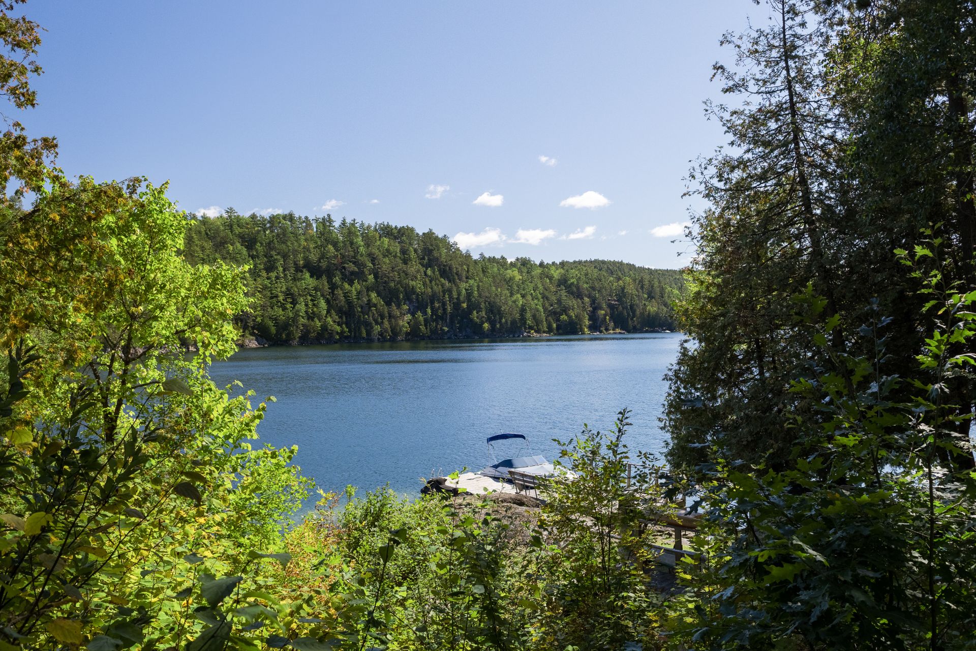 Water view