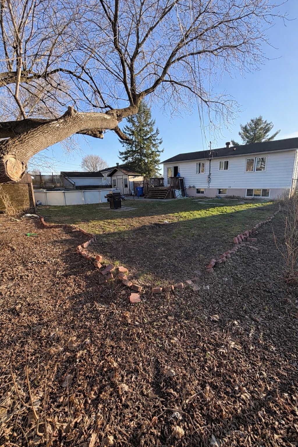 Backyard
