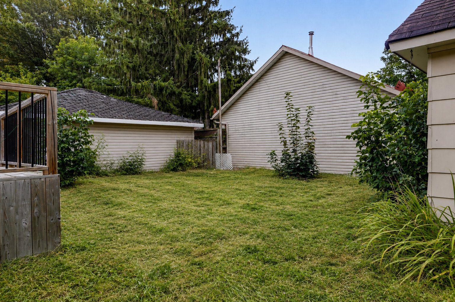 Backyard