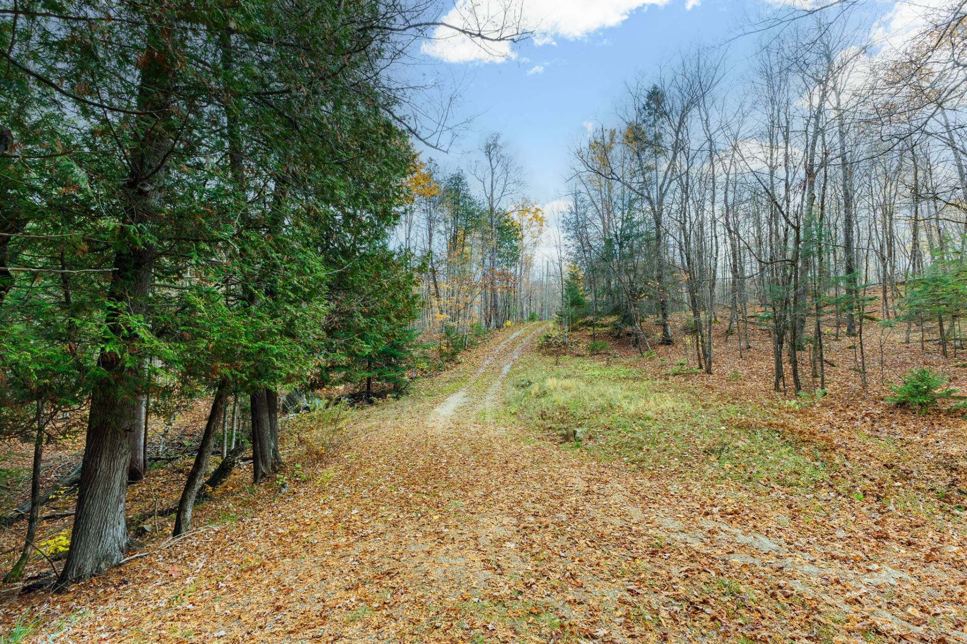 Land/Lot