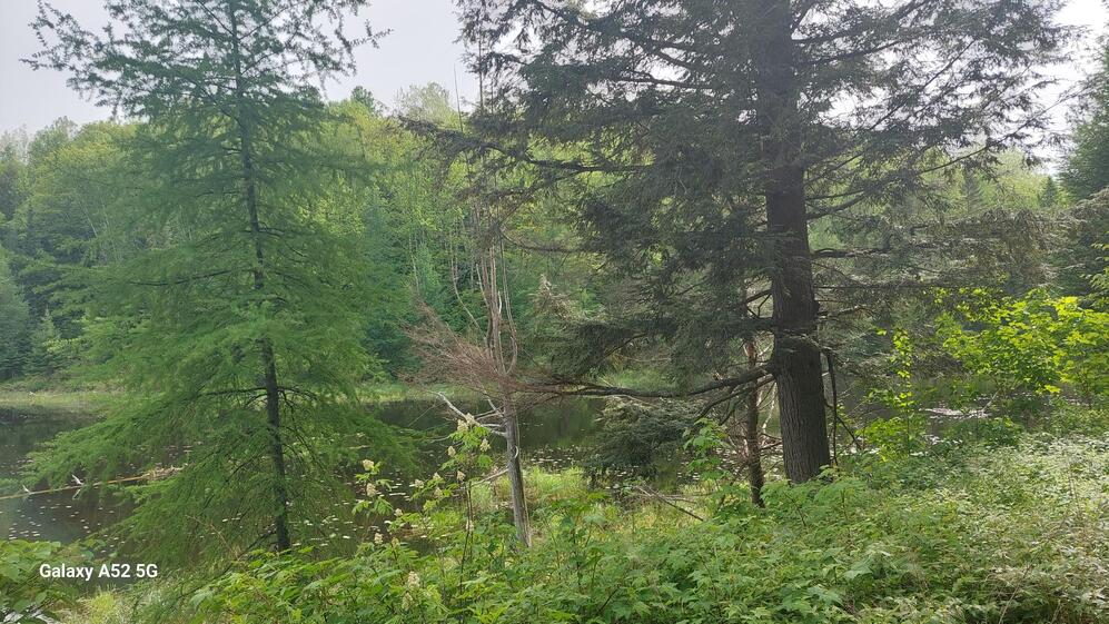 Water view - Waterfront