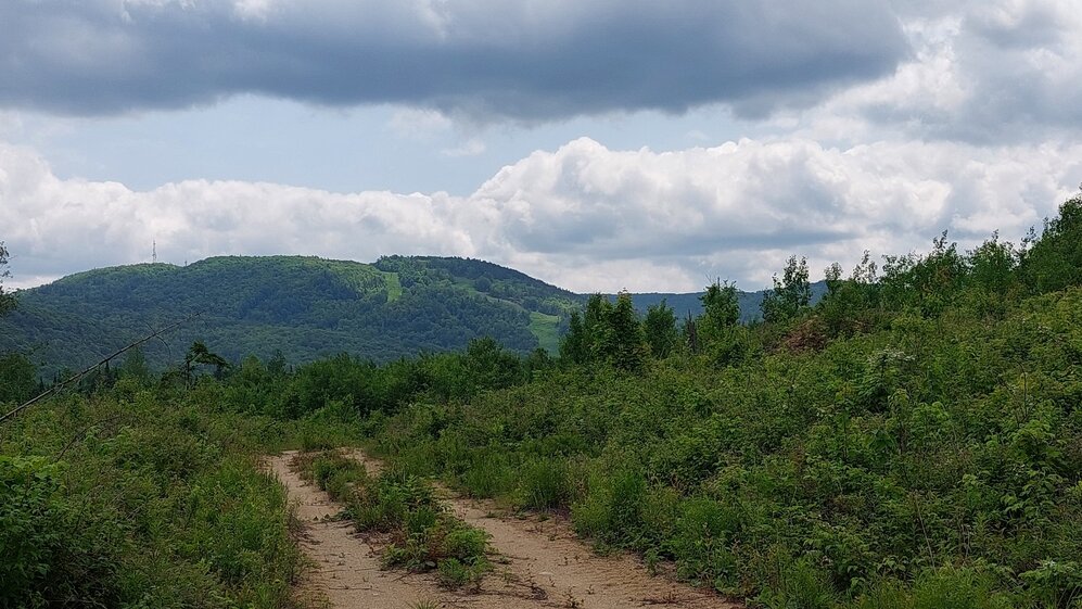 Overall View - Road view on ski hill.