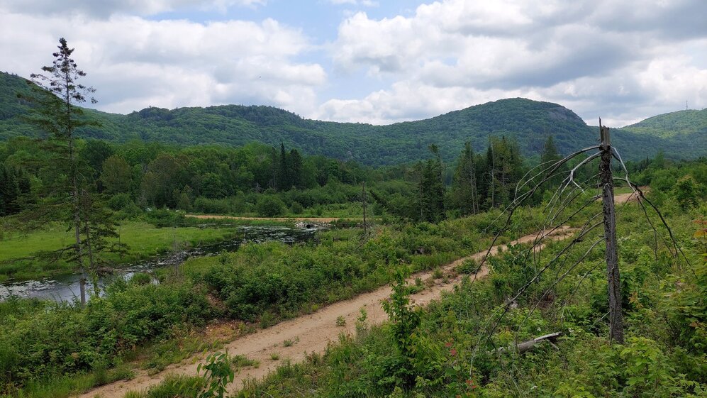 Street - Cadastered road