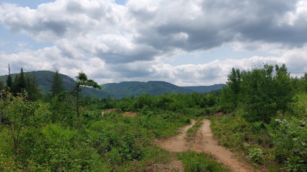 Overall View - East view, road and sanpit(left side)