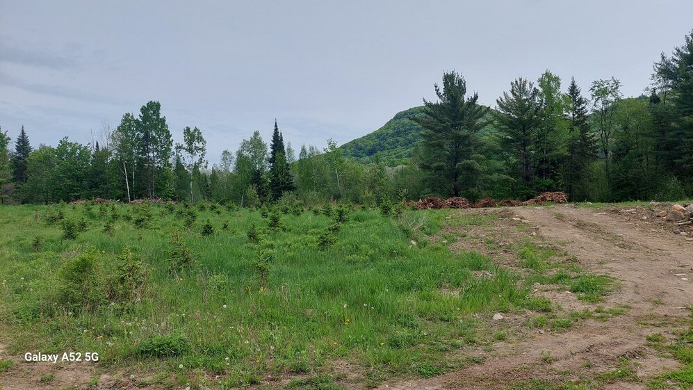 Land/Lot - North-East View