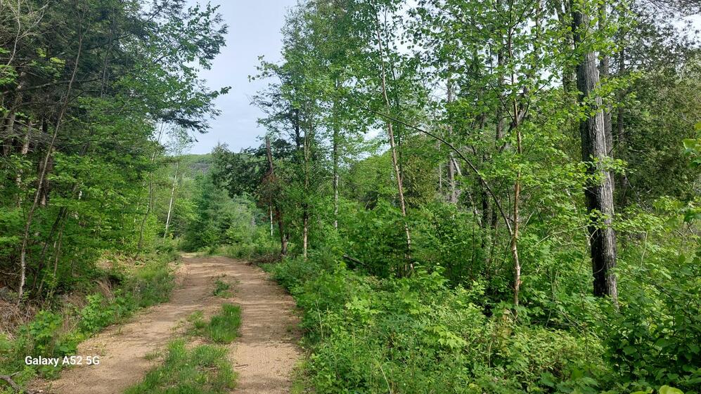 Land/Lot - View towards the west