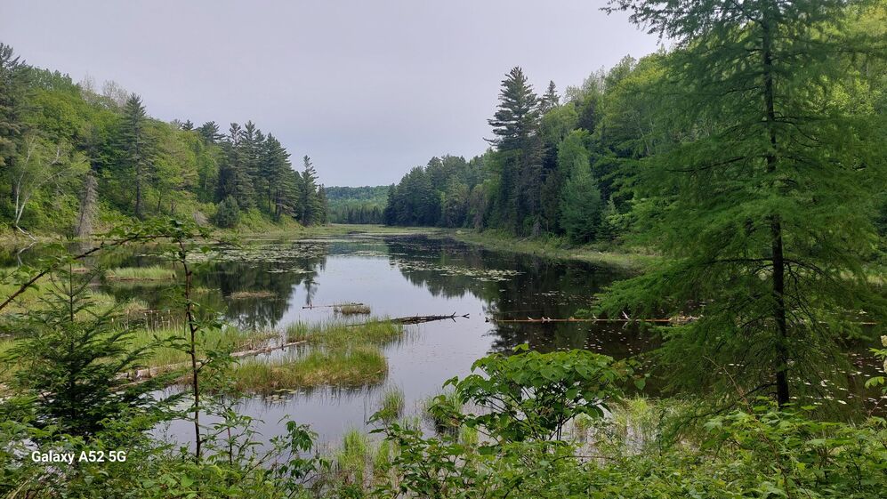 Water view - View towards the west from the bridge