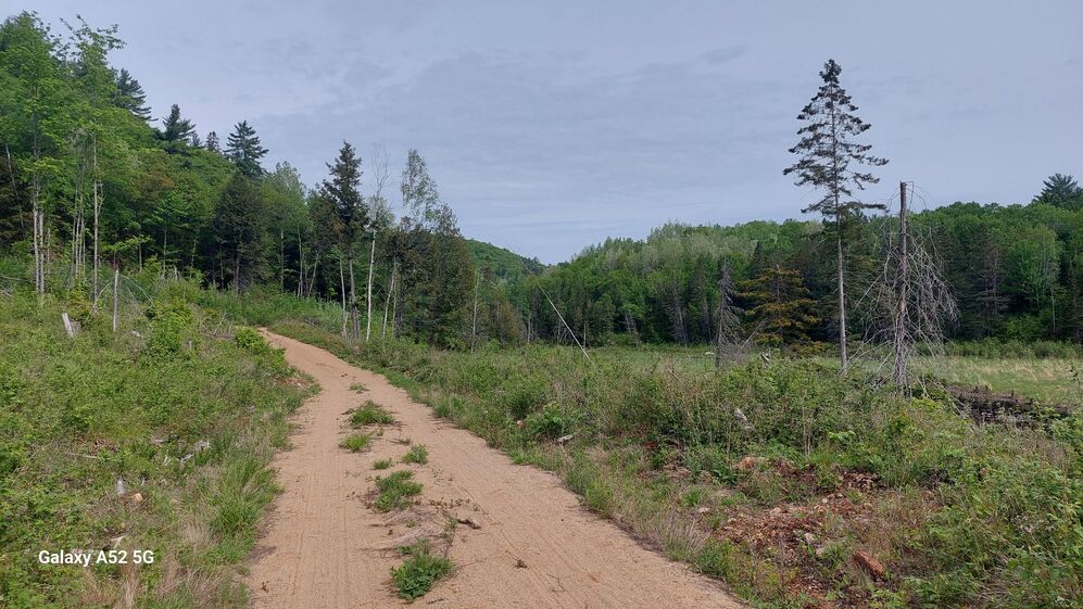 Land/Lot - View towards the west