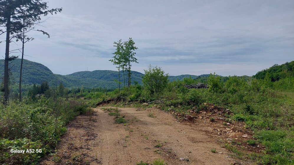 Land/Lot - View to the east ,ski slopes of Mont Ste-Marie