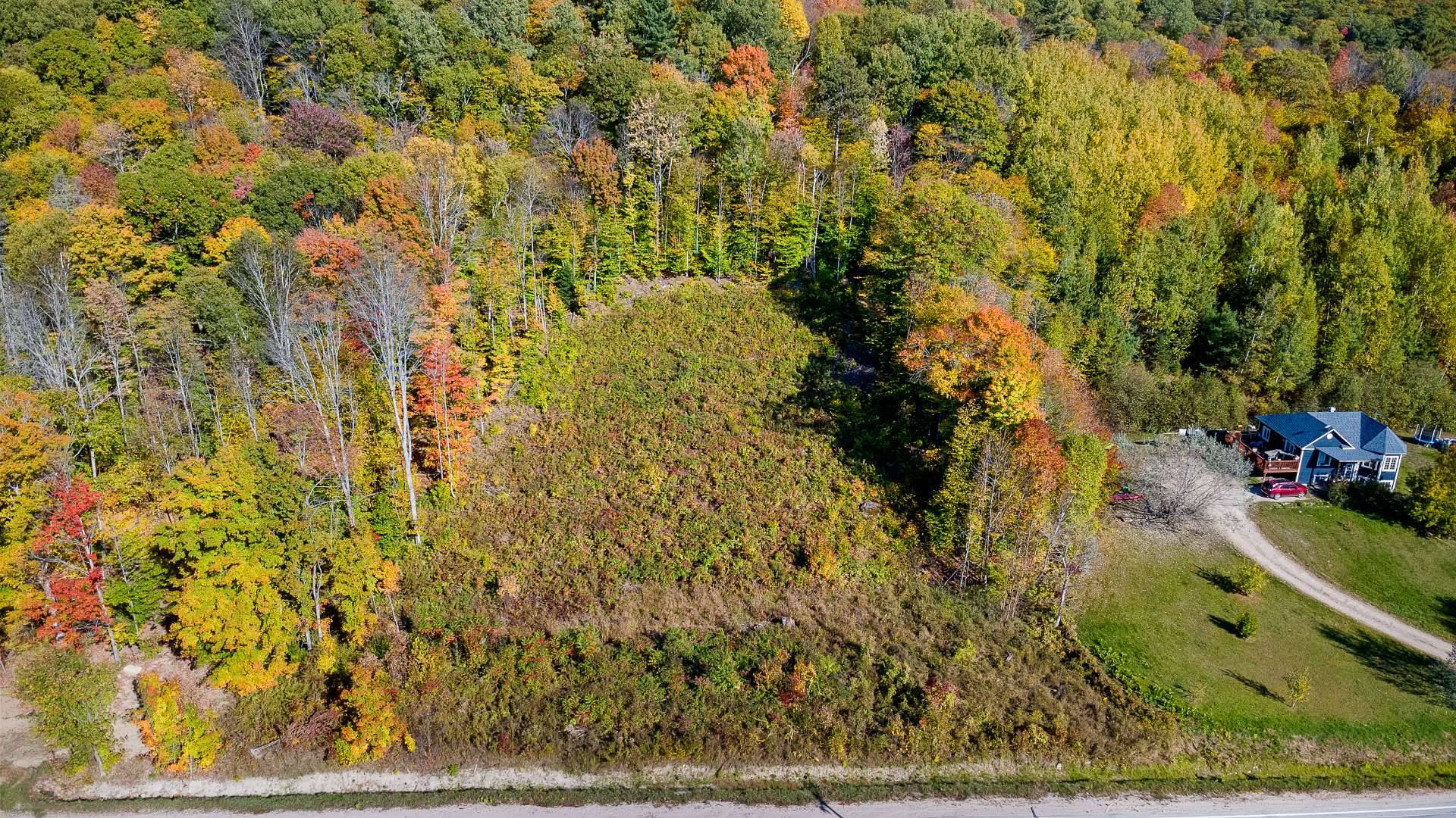 Overall view