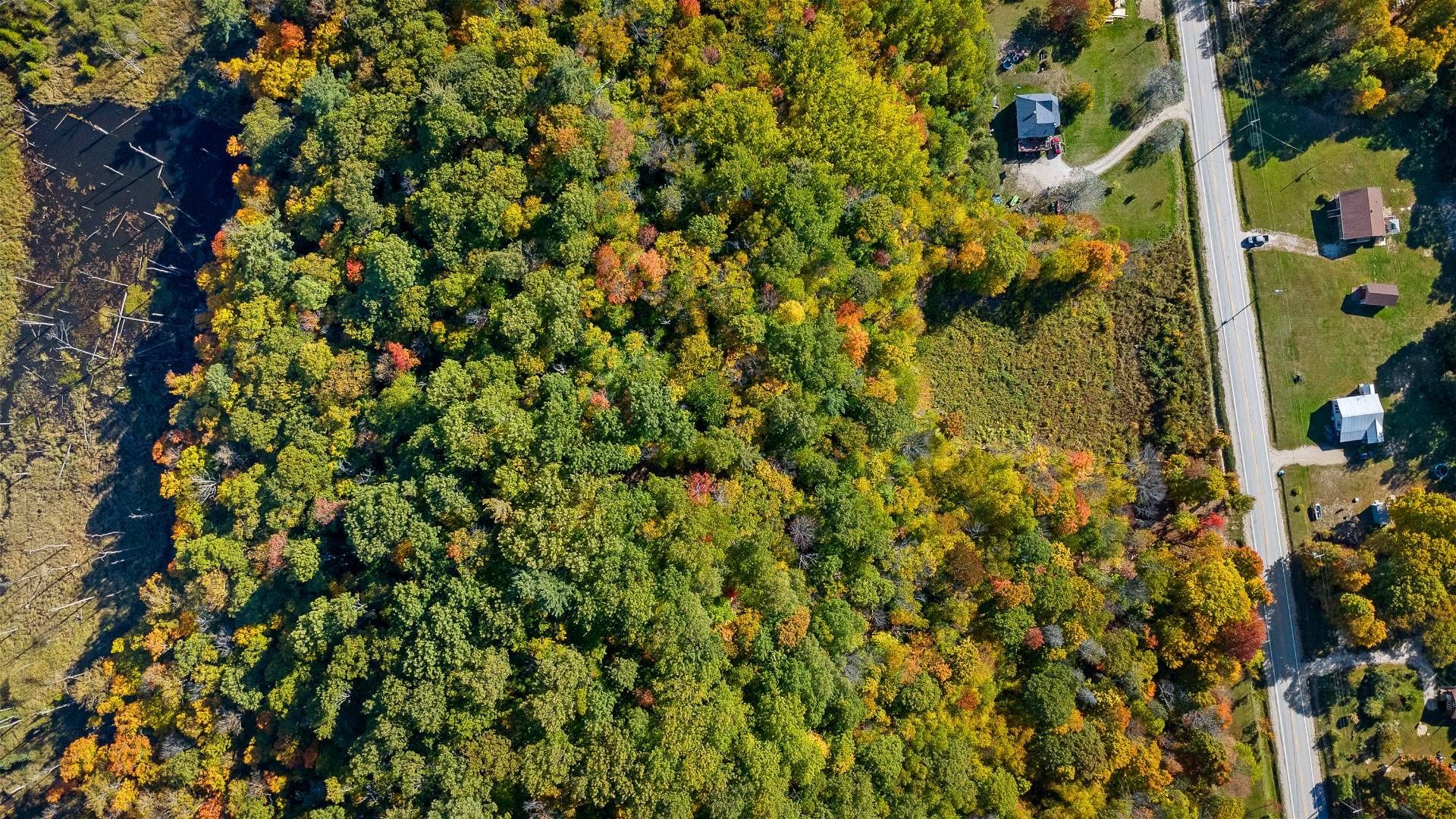 Land/Lot