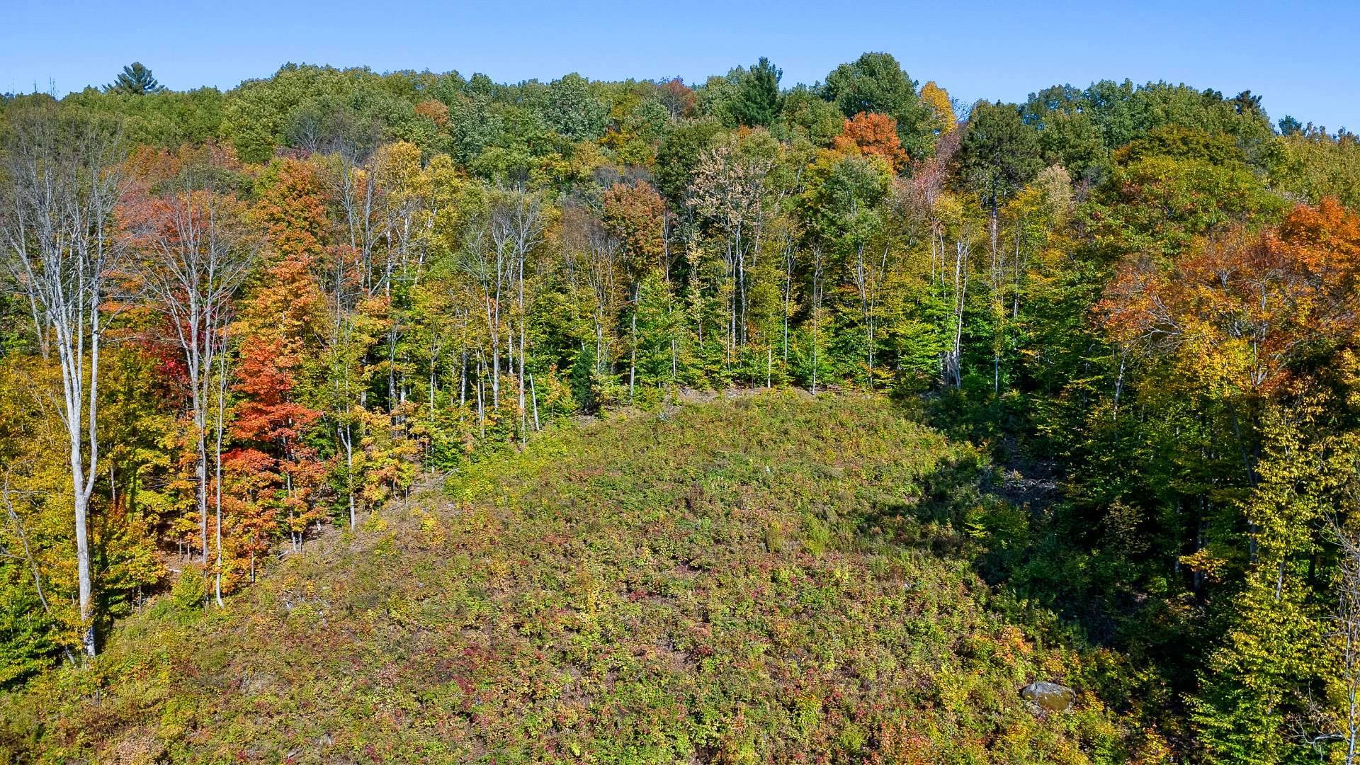 Land/Lot