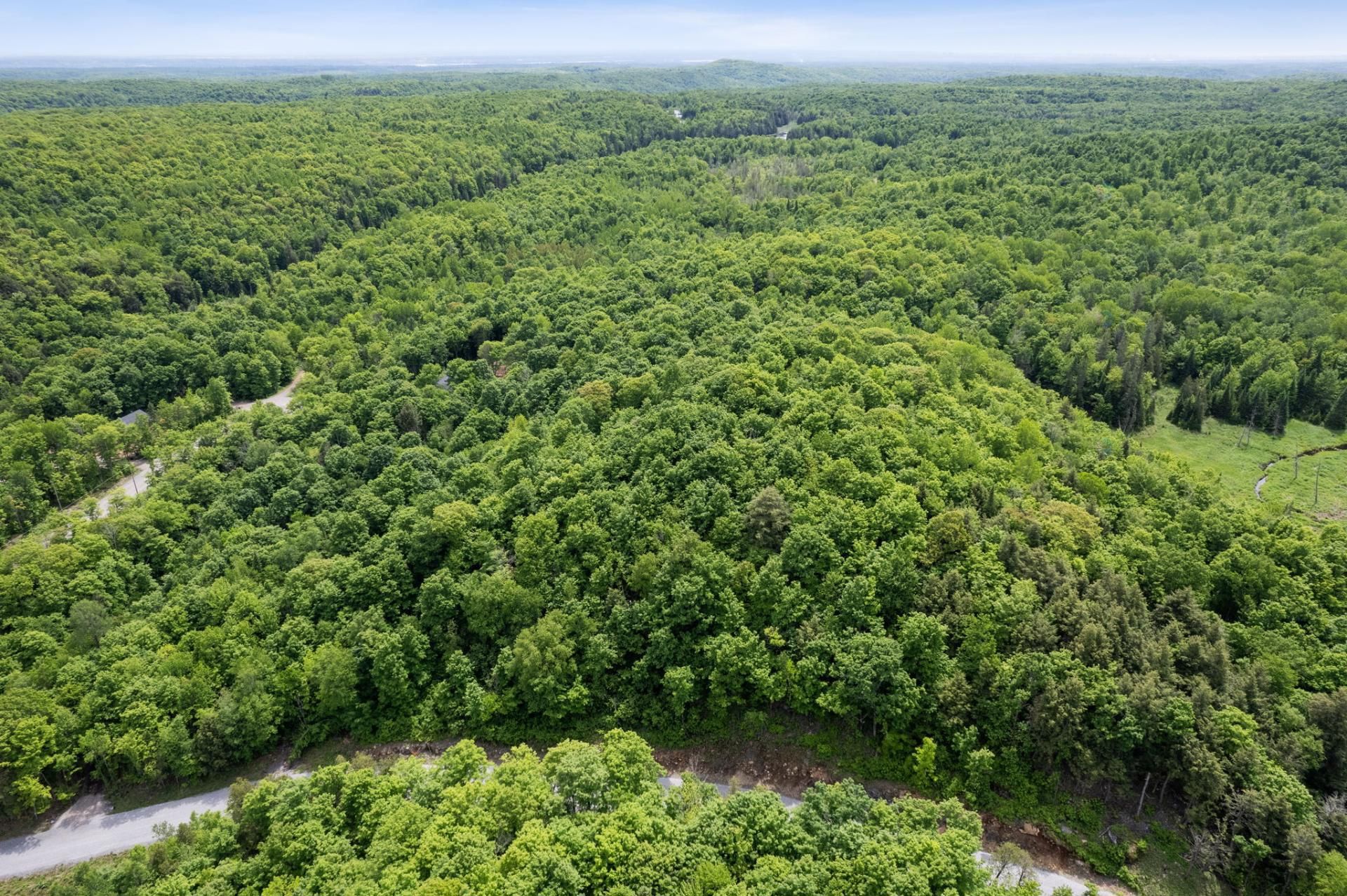 Aerial photo