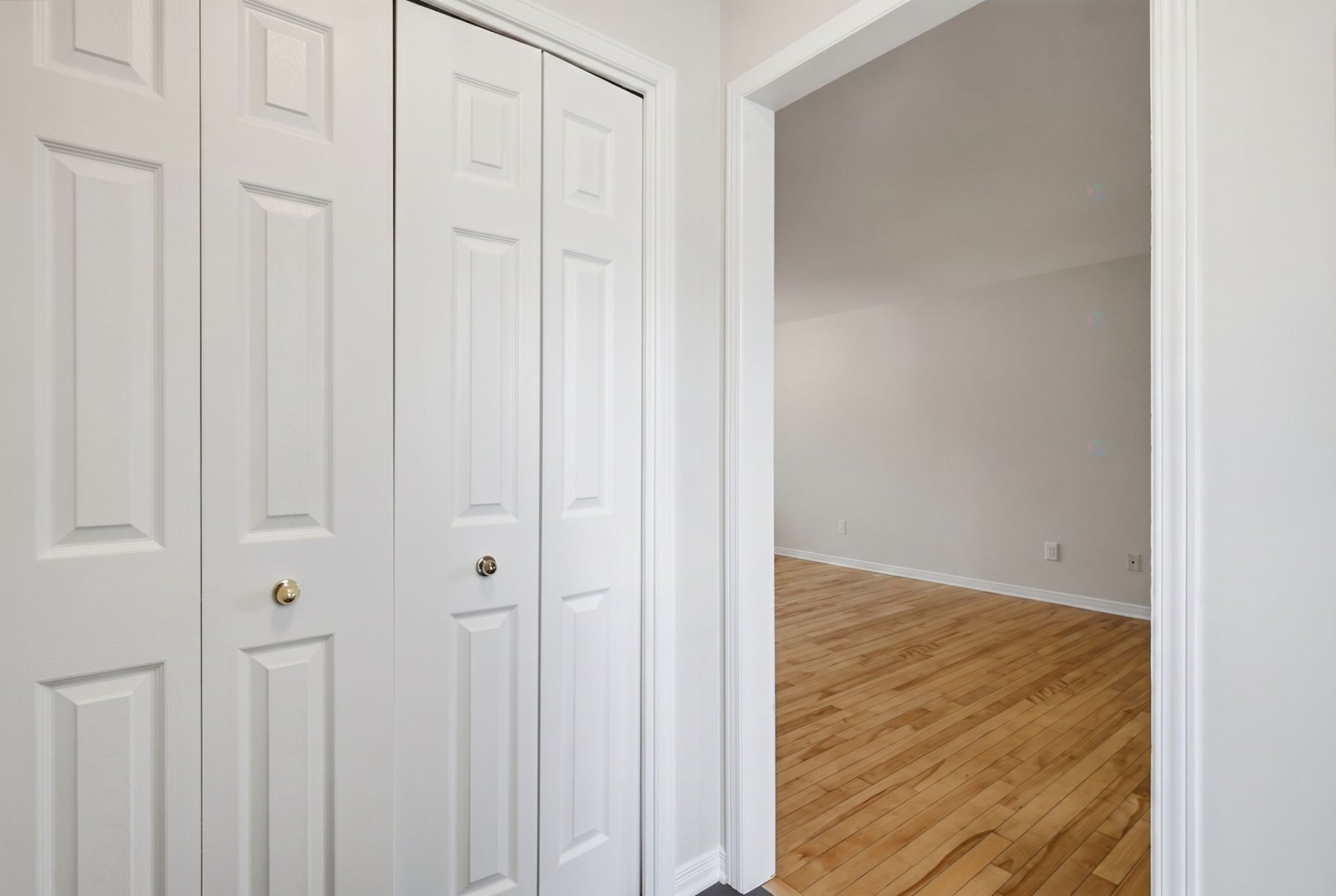 Hall d'entrée/Vestibule