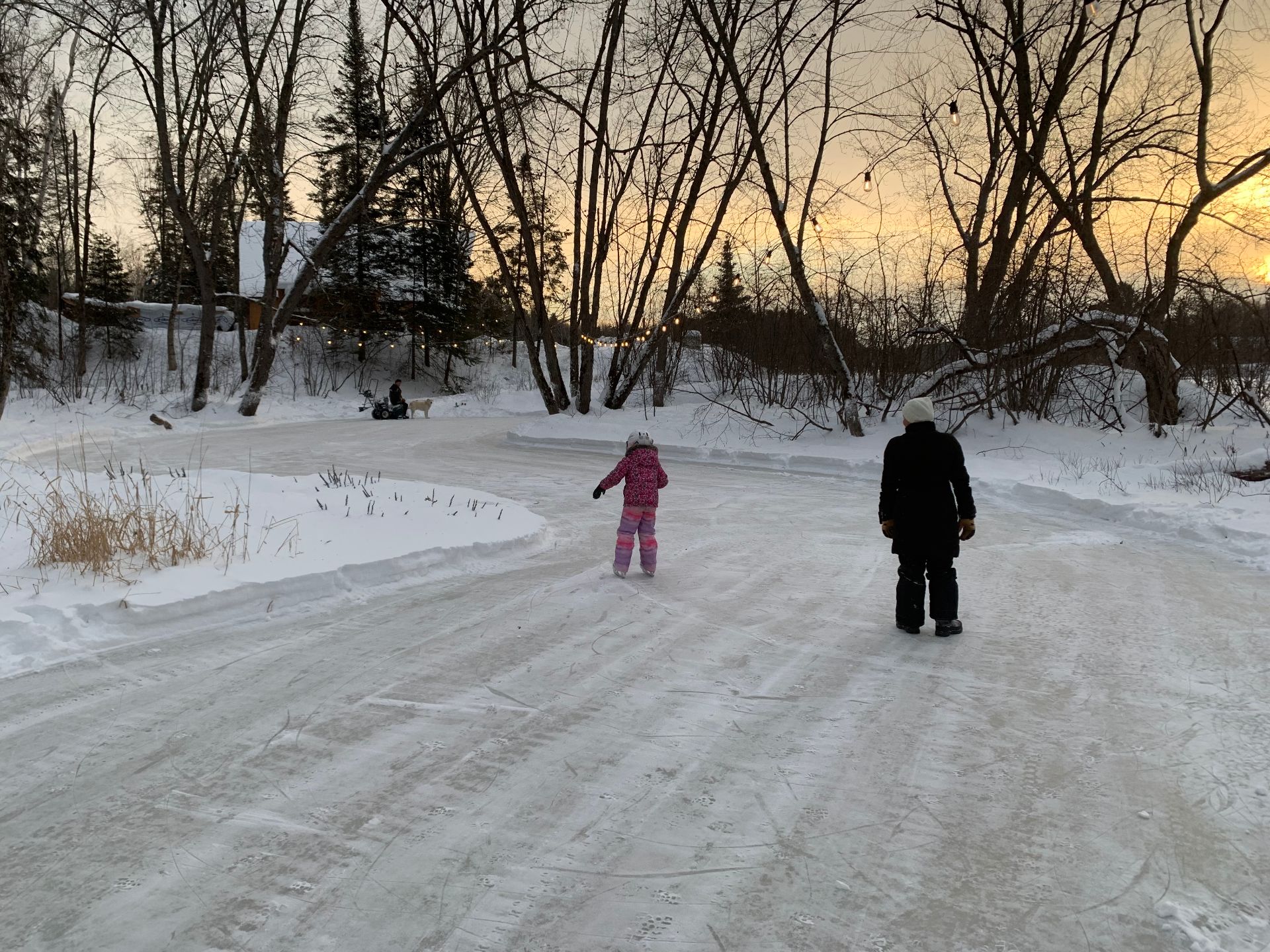 Cour - Turn part of your property into a rink!