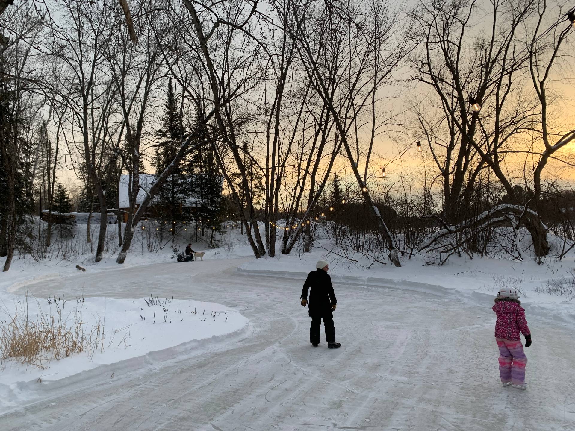 Cour - Side yard has a small body of water to skate on!