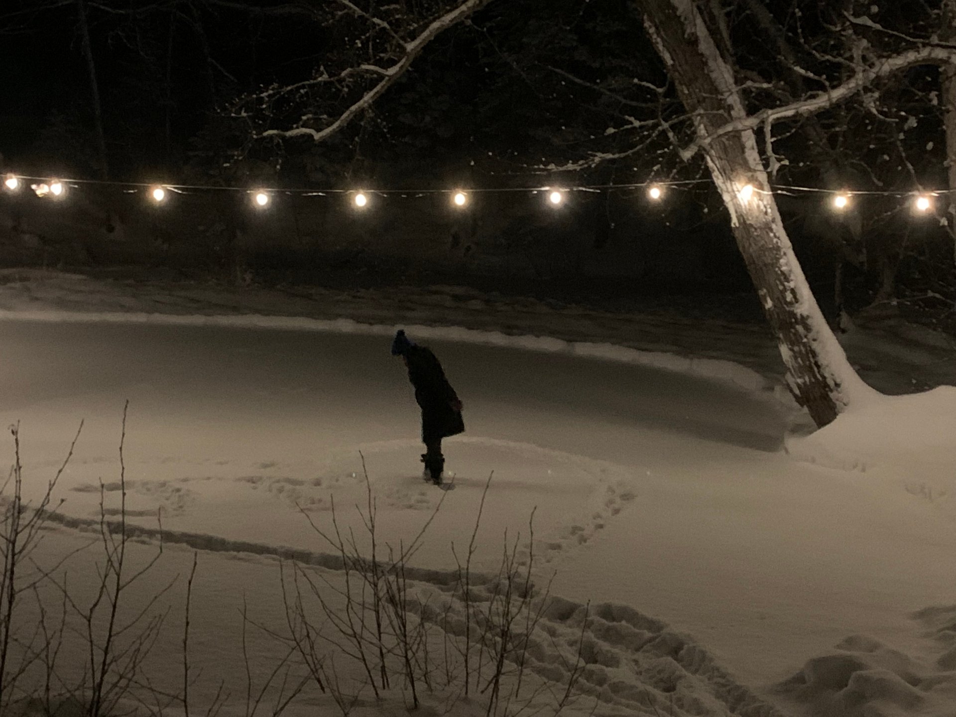 Cour - Side yard has a small body of water to skate on!