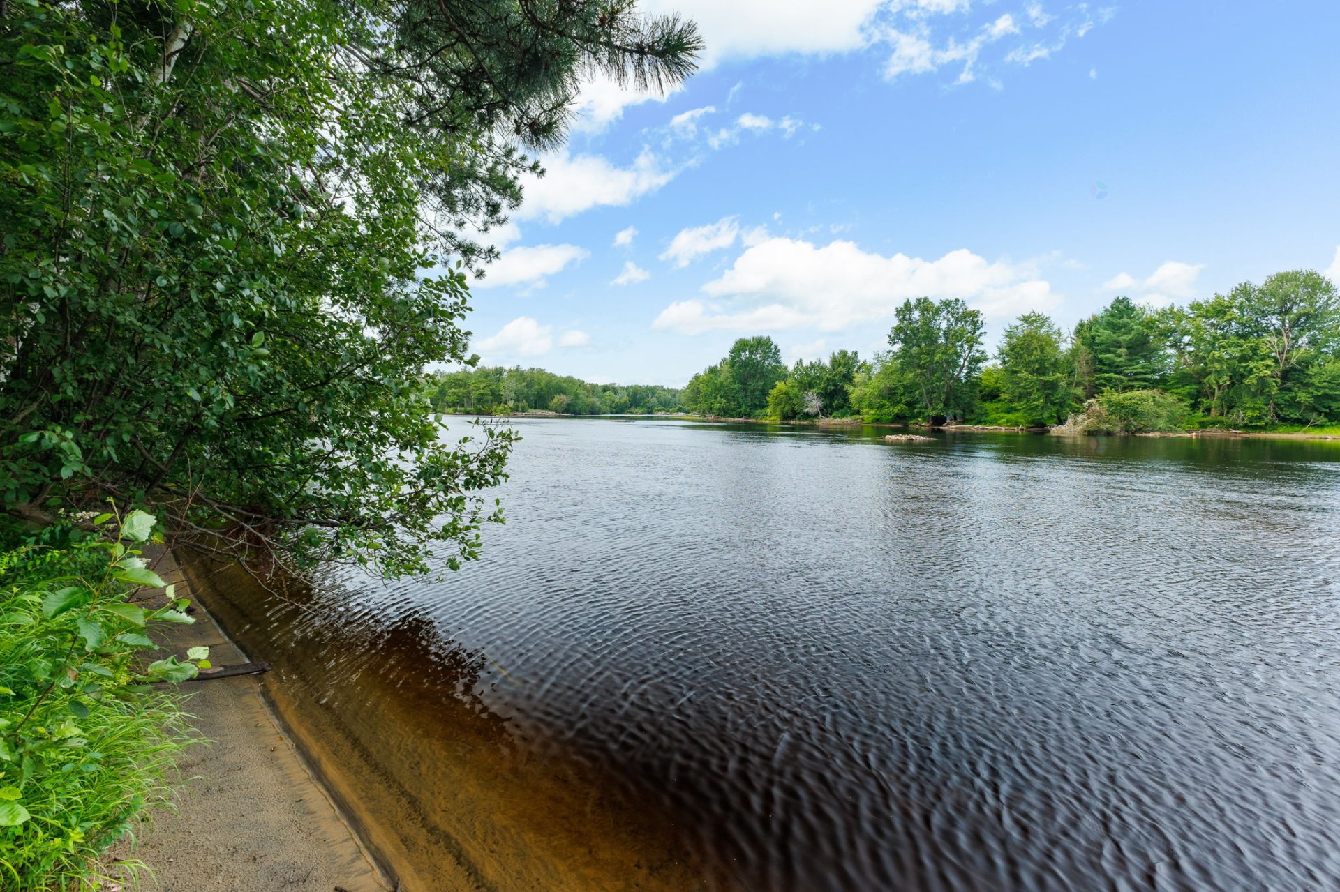 Bord de l'eau