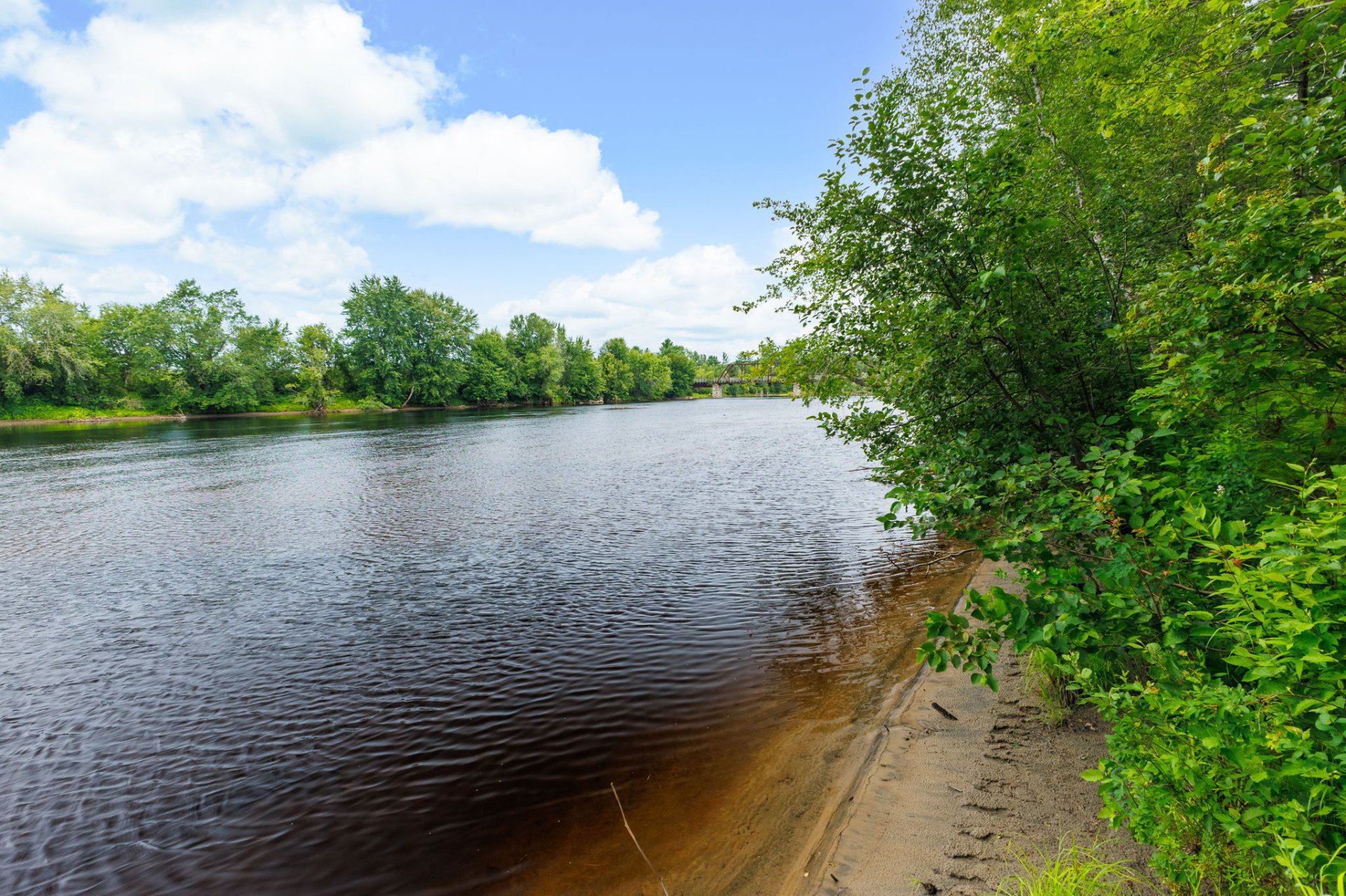 Bord de l'eau