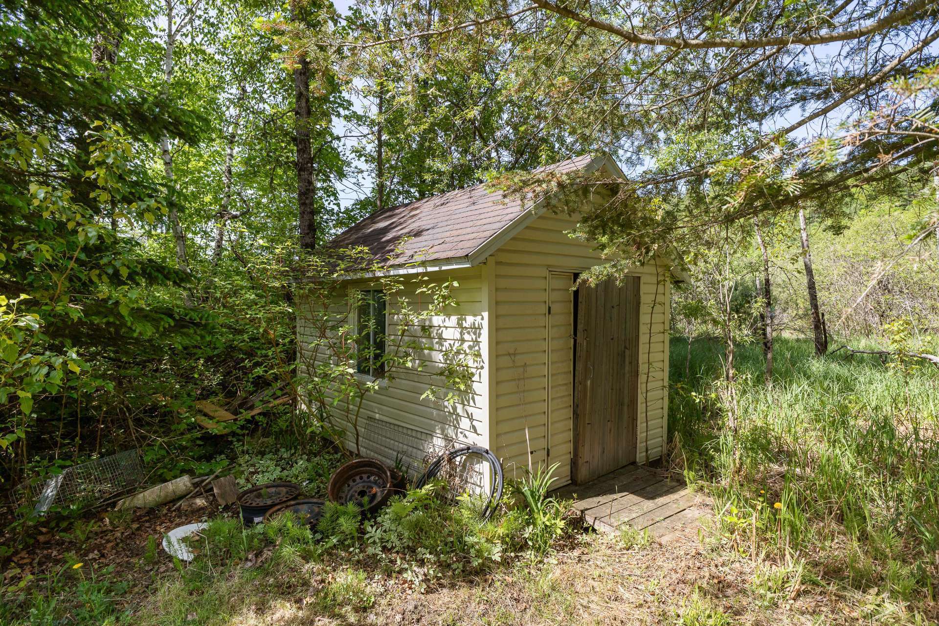 Shed