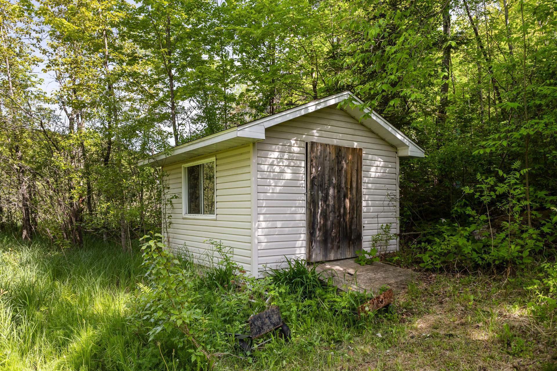 Shed