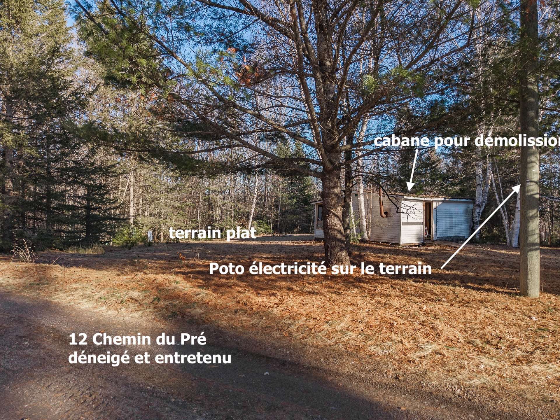 Spécifications du Vendeur