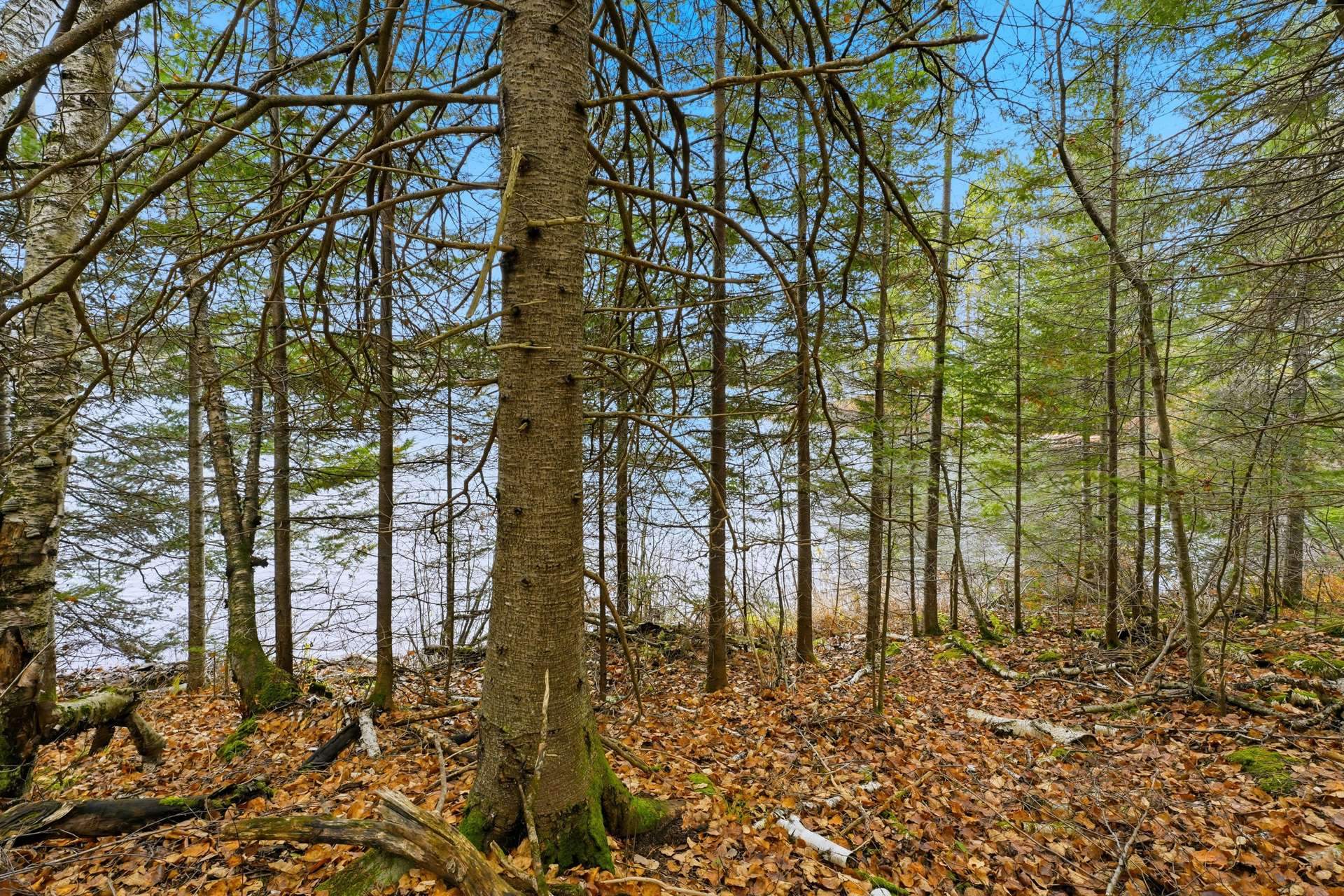Water view