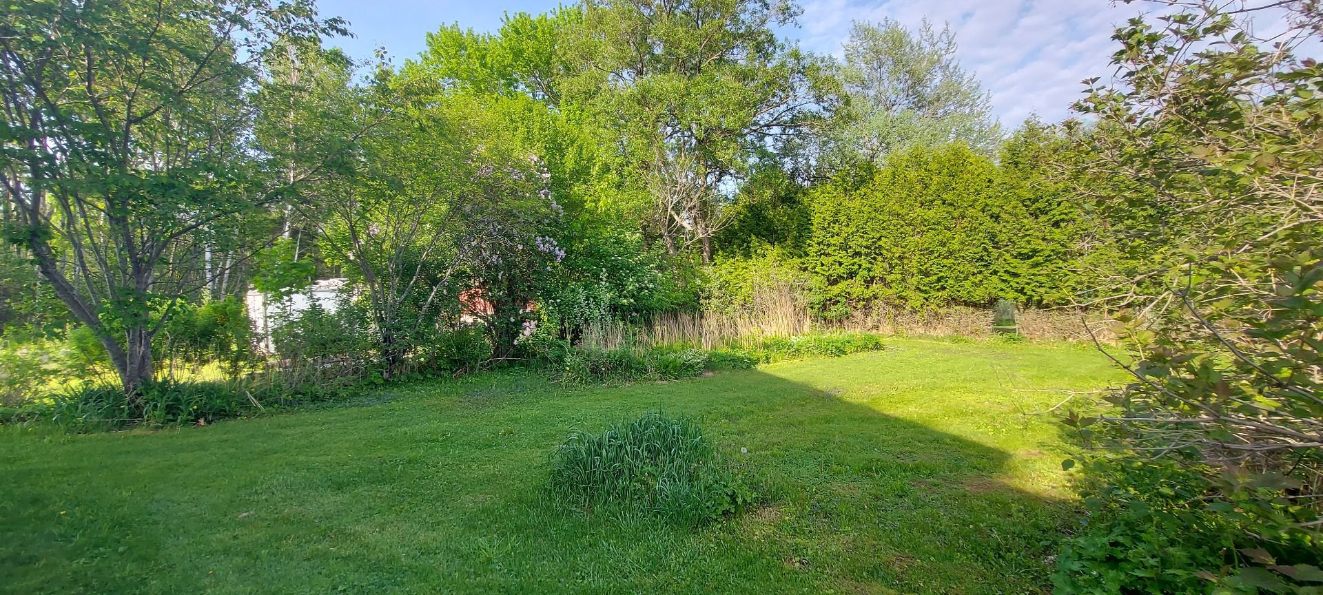 Land/Lot