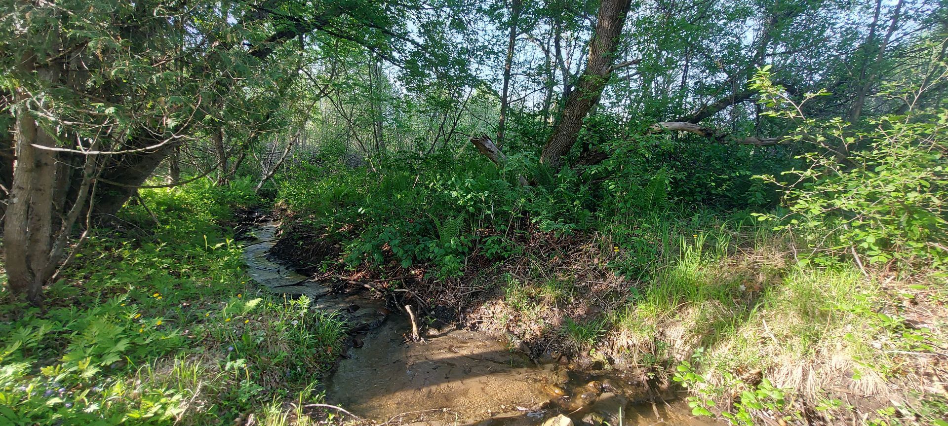 Land/Lot