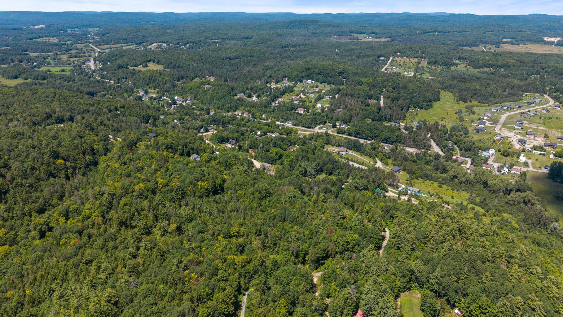 Overall view