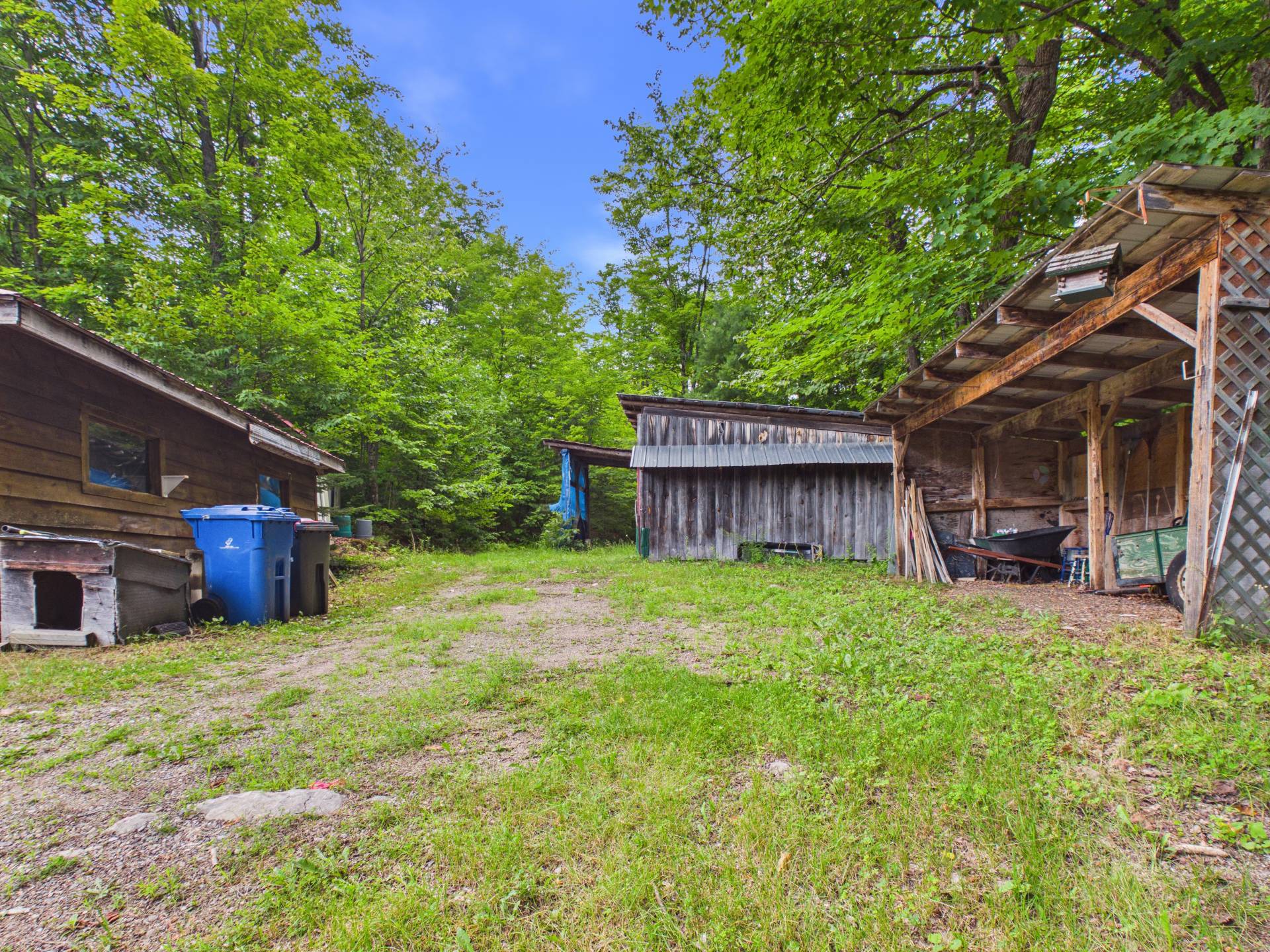 Backyard