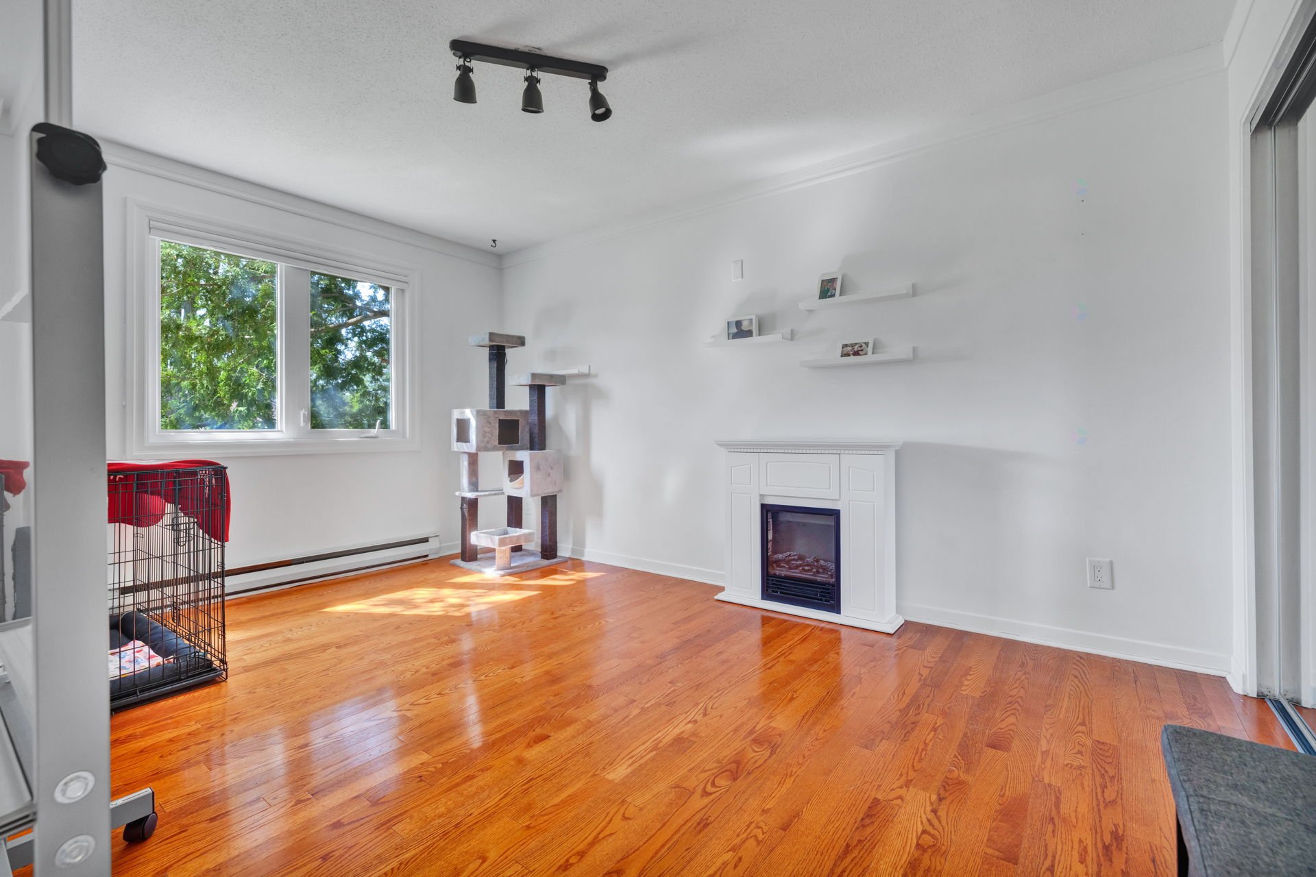 main level