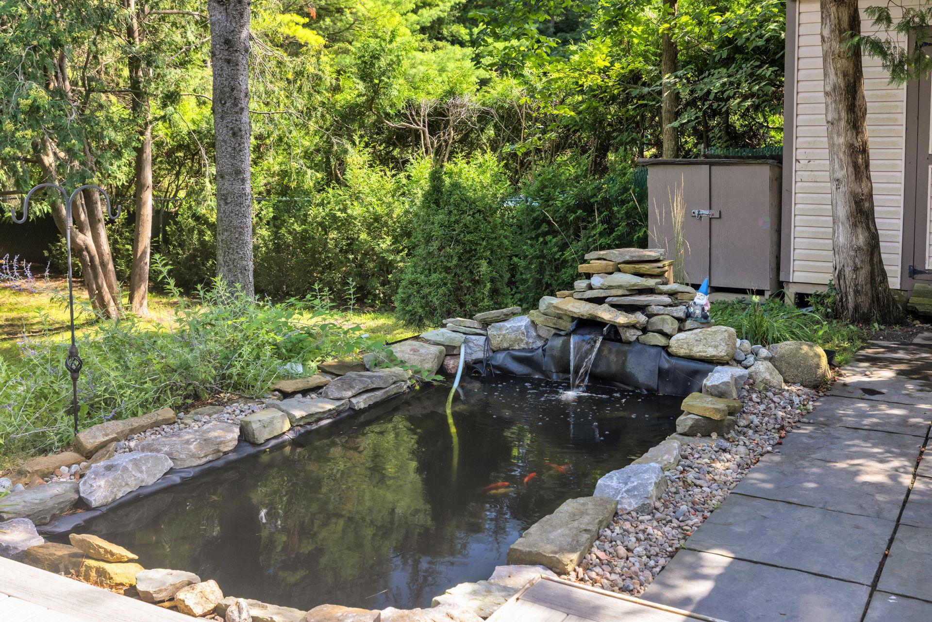 pond with goldfish
