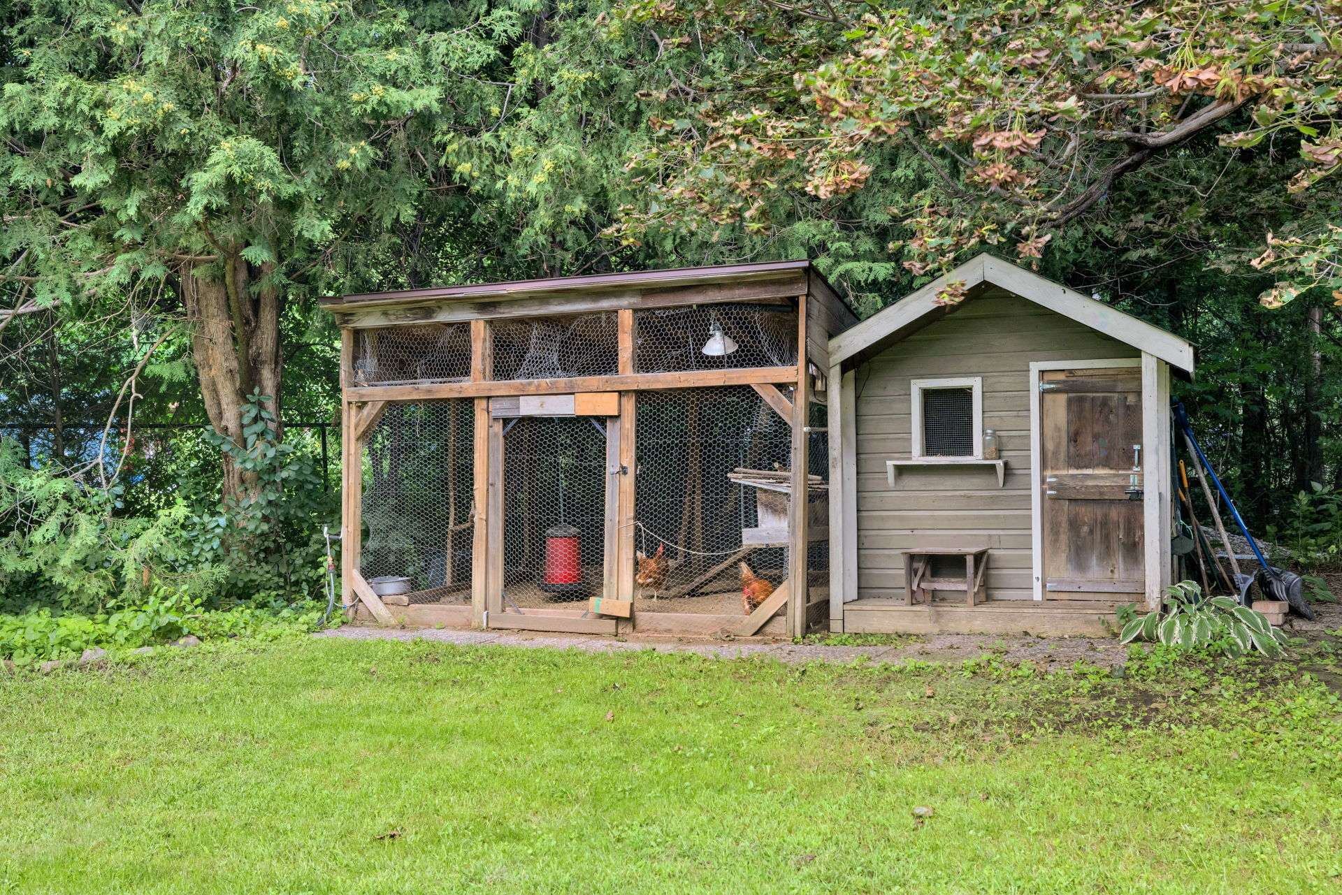 chicken coop